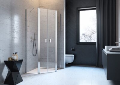 Nes PTD króm színes zuhanykabin